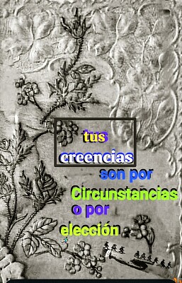 mi libro