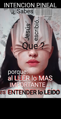 lees pero no entiendes