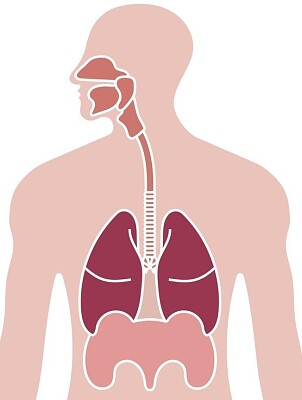 respiratorio