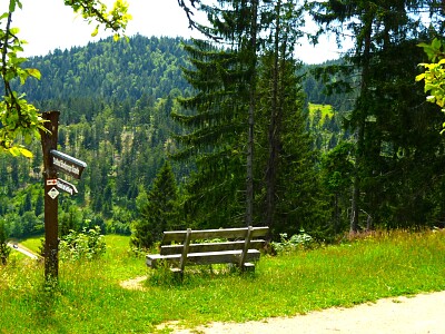 Schwarzwald