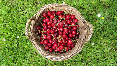Kirschen