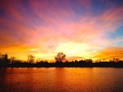 am Rhein
