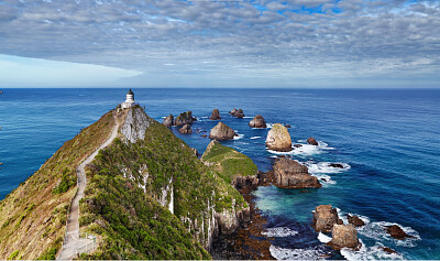 Morro marino