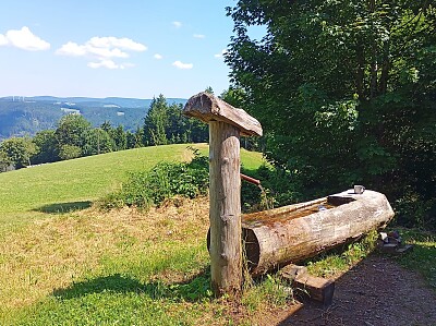 Schwarzwald