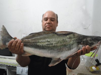 פאזל של pesca