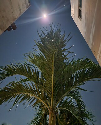 Las noches en Cancun