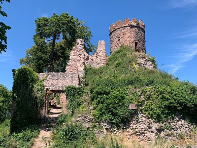 Burgruine in den Vogesen, Frankreich