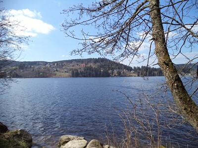 Titisee im Schwarzwald