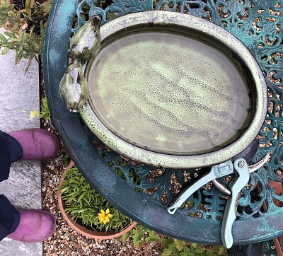 Birdbath on garden table