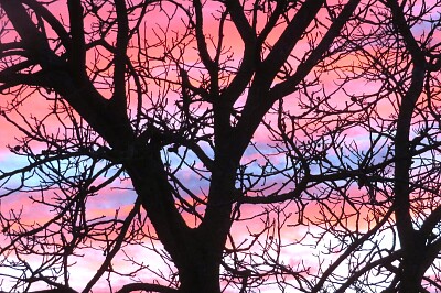 Morgenrot