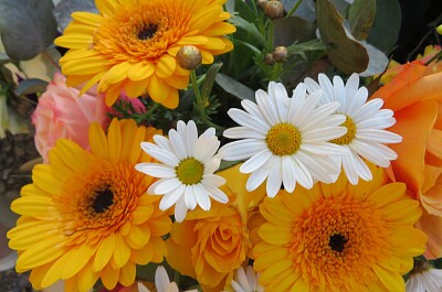 Blüten