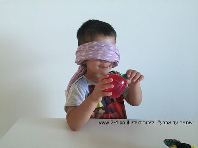 החושים שלנו