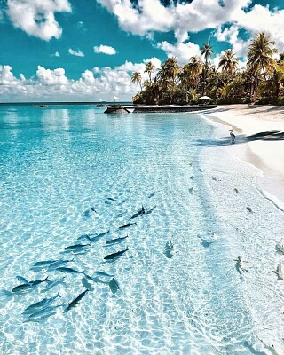 Ilha azul