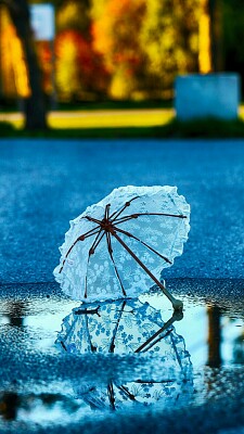 Guarda-chuva