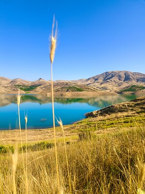 Lago