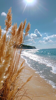 Praia com plantação