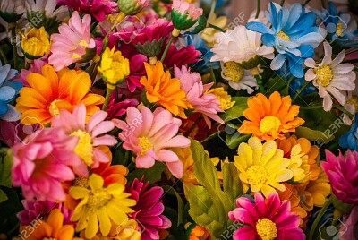 flowers