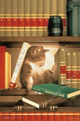 cat