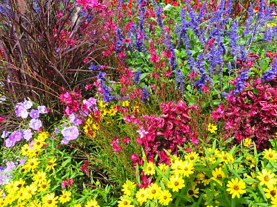Blumenbeet