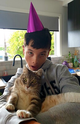 Birthday Cat