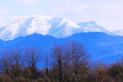Schwarzwald