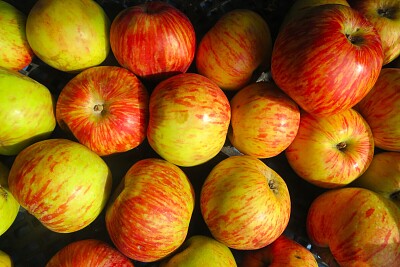 Äpfel