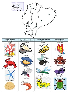 animales invertebrados