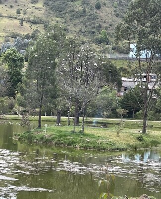 PAZ