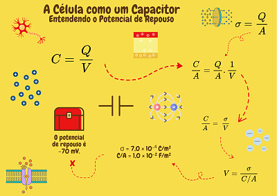 Célula e capacitor