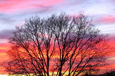 Abendhimmel