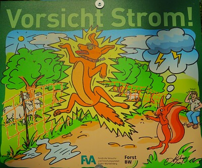 Strom