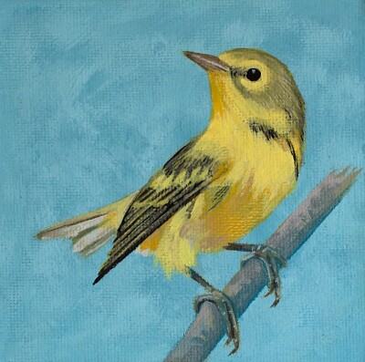 bird