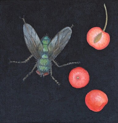 fly