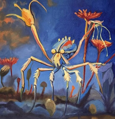 spider