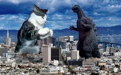 Gato vs Godzilla