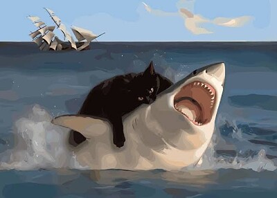 Gato come tiburon