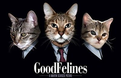 Gatos buenos