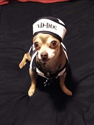 my prisoner