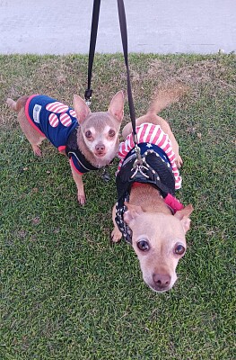 4th of July
