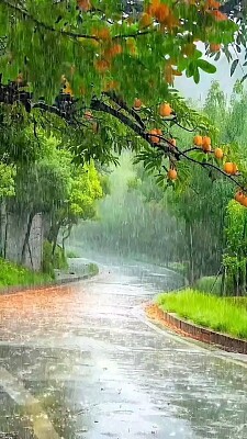 lluvia