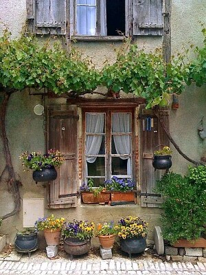 ventana