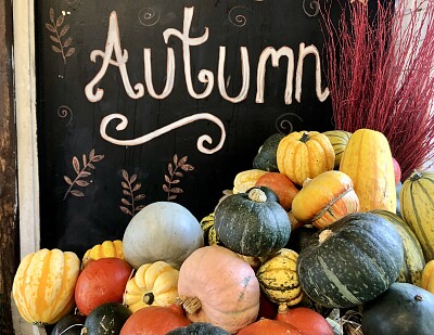 Autumn with pumpkins   gourds