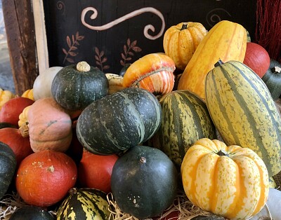 Display of autumn squash