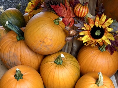 Display of orange pumpkins