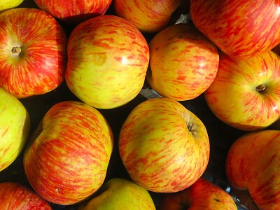 Äpfel