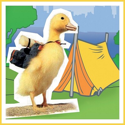 Saturnin fait du camping