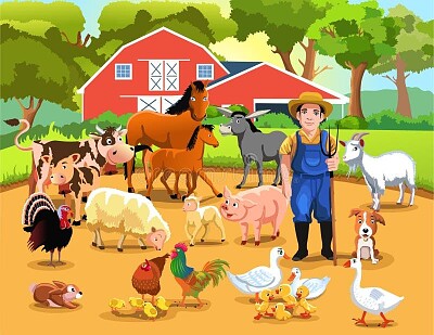 farm animals
