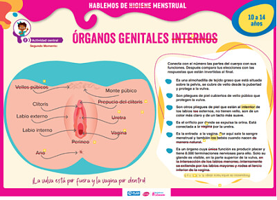 GENITALES INTERNOS FEMENINOS