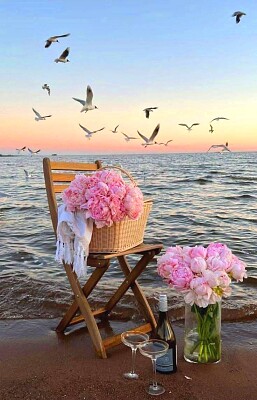 flores