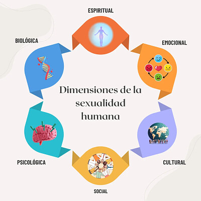 la sexualidad humana